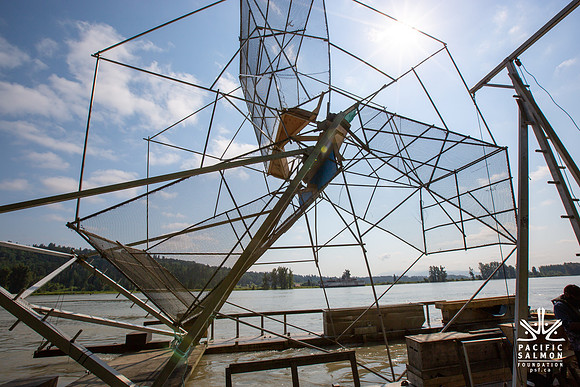 PSF VISIT MATSQUI FISH WHEEL-47