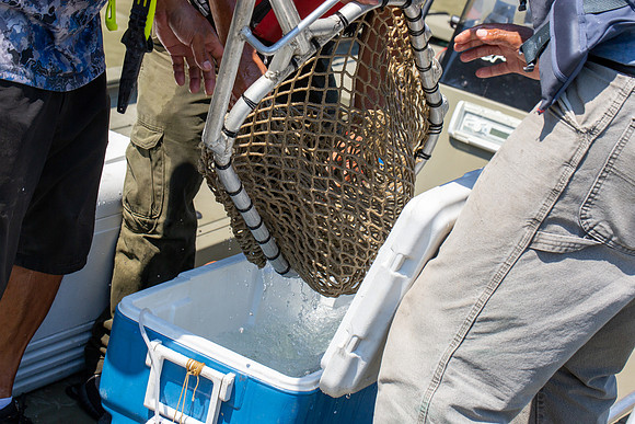 PSF VISIT MATSQUI FISH WHEEL-308