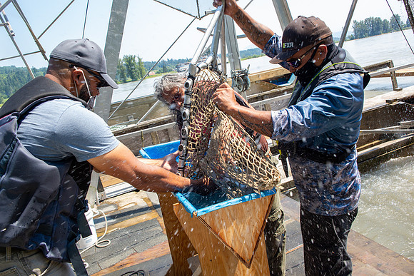 PSF VISIT MATSQUI FISH WHEEL-240