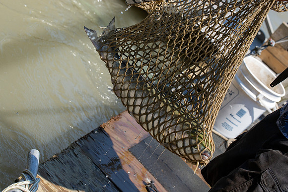 PSF VISIT MATSQUI FISH WHEEL-297