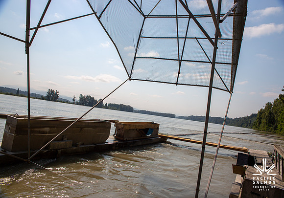 PSF VISIT MATSQUI FISH WHEEL-46