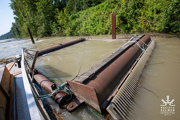 PSF VISIT MATSQUI FISH WHEEL-85