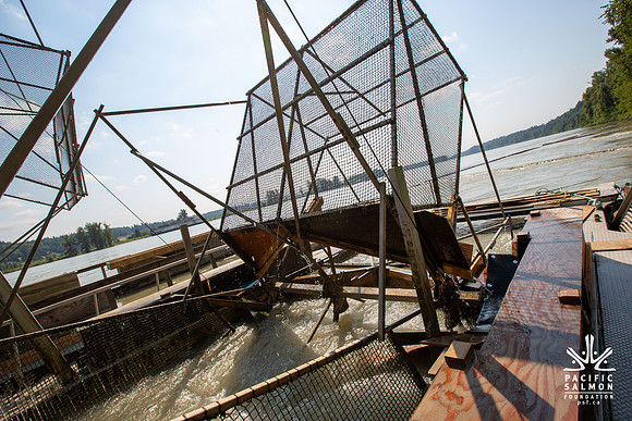 PSF VISIT MATSQUI FISH WHEEL-52