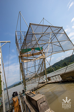 PSF VISIT MATSQUI FISH WHEEL-91