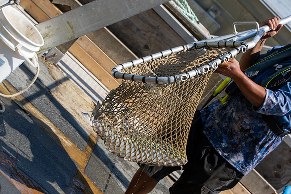 PSF VISIT MATSQUI FISH WHEEL-296