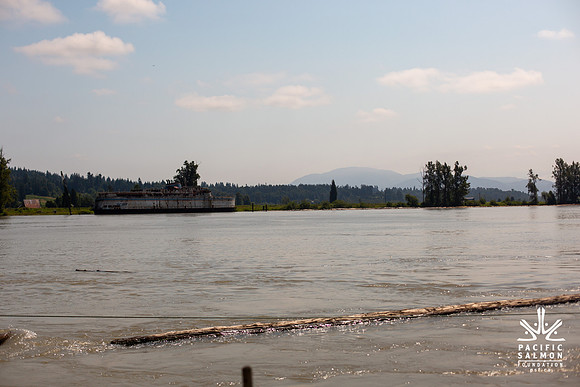 PSF VISIT MATSQUI FISH WHEEL-93