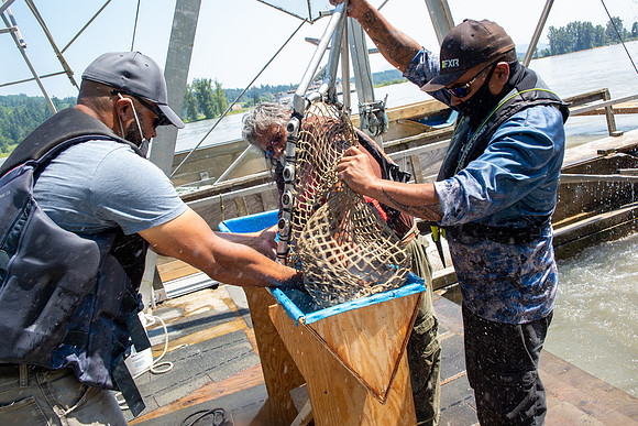 PSF VISIT MATSQUI FISH WHEEL-241