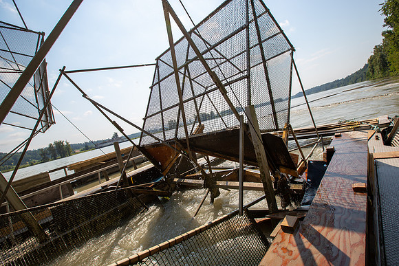 PSF VISIT MATSQUI FISH WHEEL-52