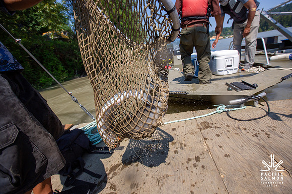 PSF VISIT MATSQUI FISH WHEEL-120