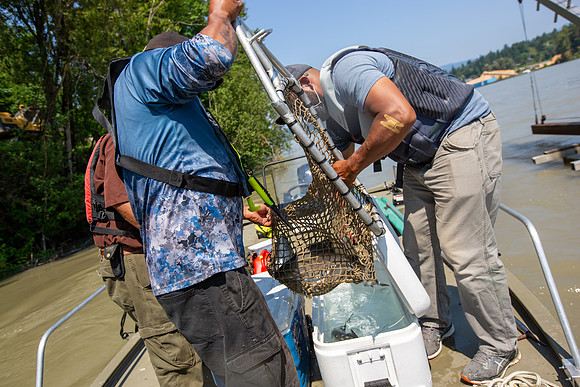 PSF VISIT MATSQUI FISH WHEEL-121
