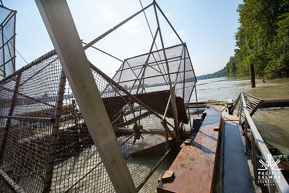 PSF VISIT MATSQUI FISH WHEEL-51