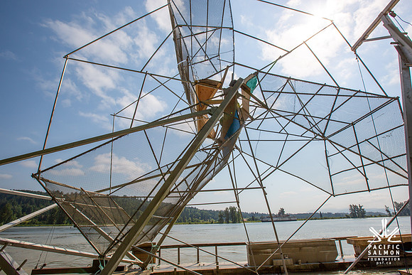 PSF VISIT MATSQUI FISH WHEEL-82