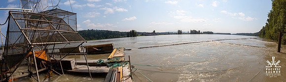PSF VISIT MATSQUI FISH WHEEL-86