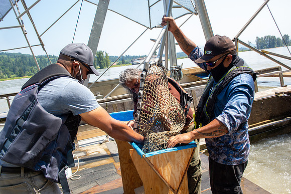 PSF VISIT MATSQUI FISH WHEEL-242