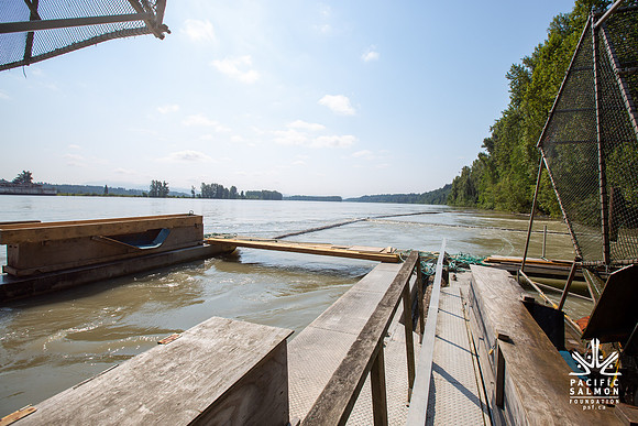 PSF VISIT MATSQUI FISH WHEEL-54