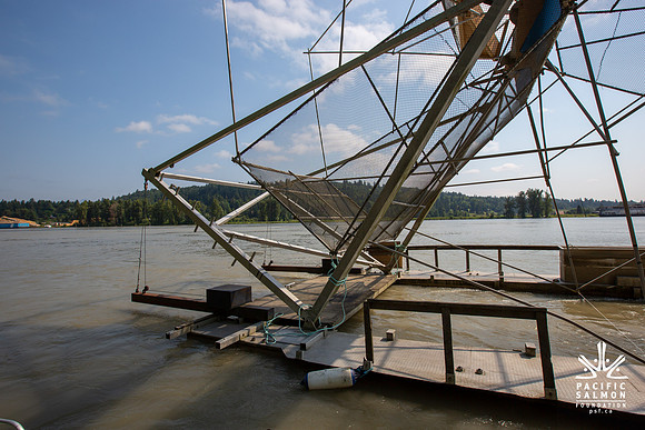 PSF VISIT MATSQUI FISH WHEEL-83