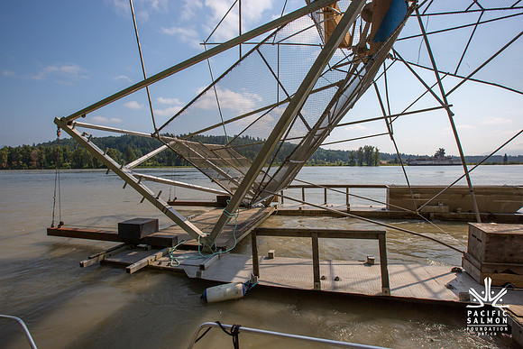 PSF VISIT MATSQUI FISH WHEEL-81