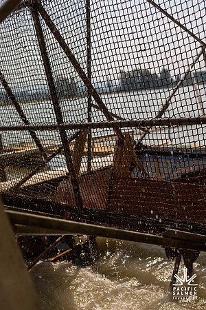 PSF VISIT MATSQUI FISH WHEEL-94