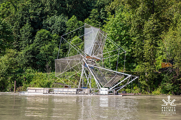 PSF VISIT MATSQUI FISH WHEEL-18