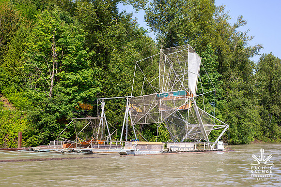 PSF VISIT MATSQUI FISH WHEEL-24