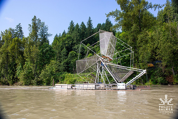 PSF VISIT MATSQUI FISH WHEEL-30