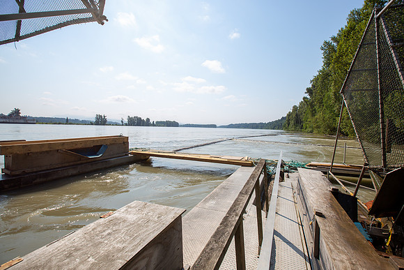 PSF VISIT MATSQUI FISH WHEEL-54