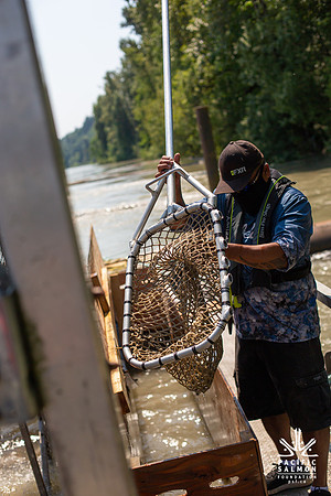 PSF VISIT MATSQUI FISH WHEEL-154
