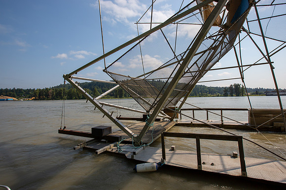 PSF VISIT MATSQUI FISH WHEEL-83