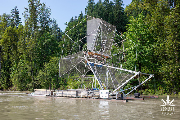 PSF VISIT MATSQUI FISH WHEEL-31
