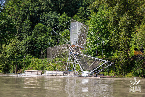 PSF VISIT MATSQUI FISH WHEEL-19