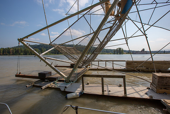 PSF VISIT MATSQUI FISH WHEEL-81