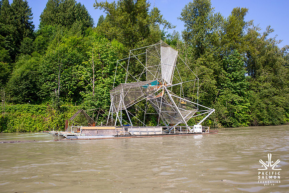 PSF VISIT MATSQUI FISH WHEEL-26