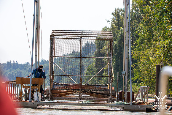 PSF VISIT MATSQUI FISH WHEEL-147