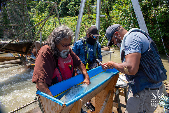 PSF VISIT MATSQUI FISH WHEEL-184