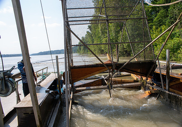 PSF VISIT MATSQUI FISH WHEEL-43
