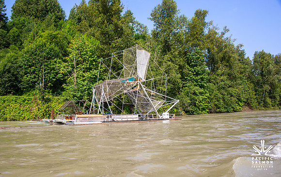 PSF VISIT MATSQUI FISH WHEEL-21