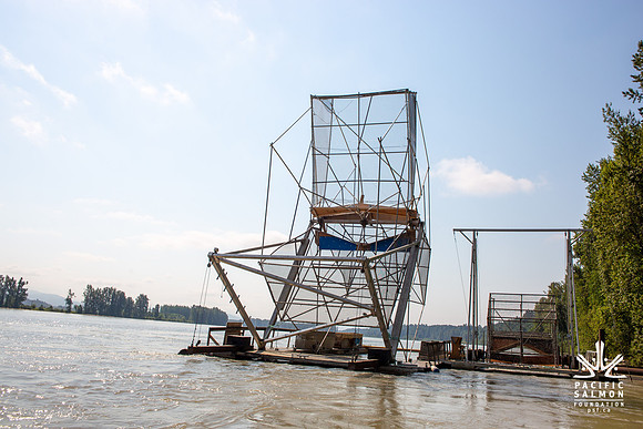 PSF VISIT MATSQUI FISH WHEEL-37