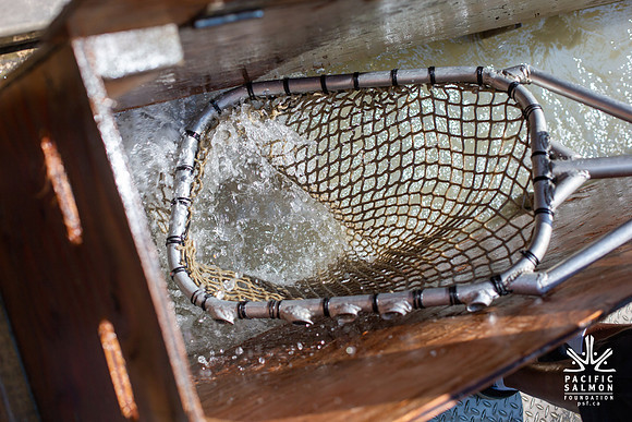 PSF VISIT MATSQUI FISH WHEEL-150