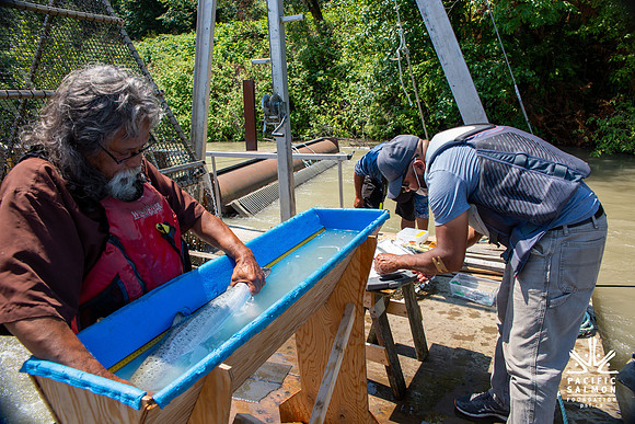 PSF VISIT MATSQUI FISH WHEEL-178