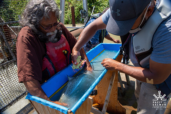 PSF VISIT MATSQUI FISH WHEEL-192