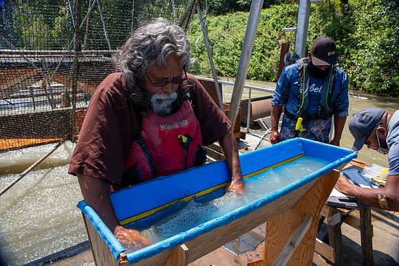PSF VISIT MATSQUI FISH WHEEL-197