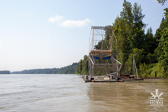 PSF VISIT MATSQUI FISH WHEEL-34