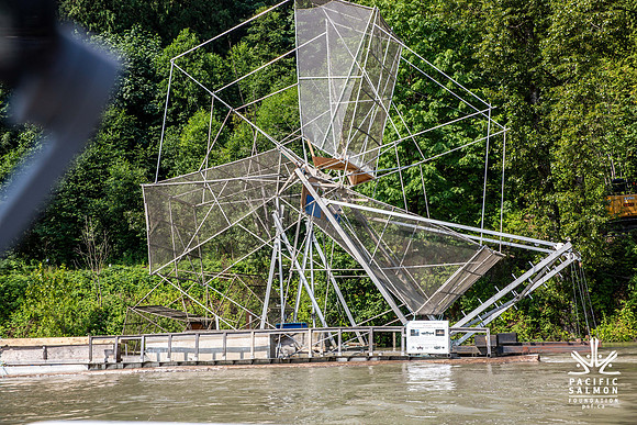 PSF VISIT MATSQUI FISH WHEEL-20