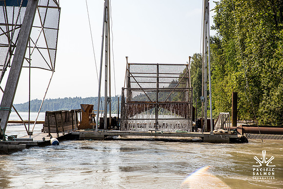PSF VISIT MATSQUI FISH WHEEL-39