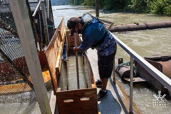 PSF VISIT MATSQUI FISH WHEEL-174