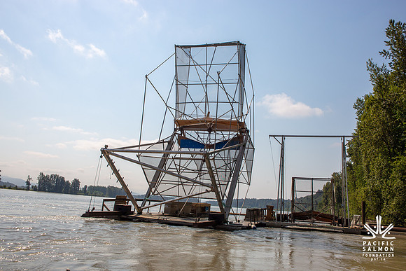 PSF VISIT MATSQUI FISH WHEEL-38