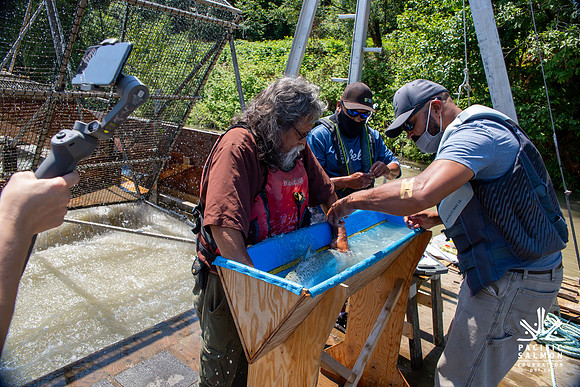 PSF VISIT MATSQUI FISH WHEEL-188