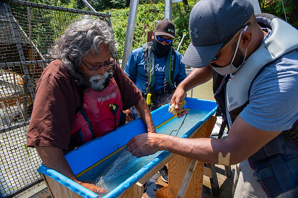PSF VISIT MATSQUI FISH WHEEL-195