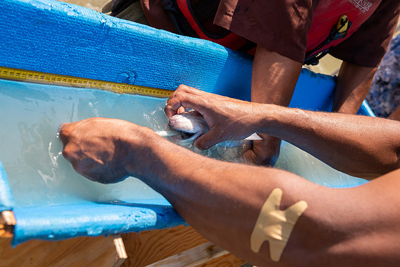 PSF VISIT MATSQUI FISH WHEEL-208