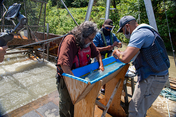 PSF VISIT MATSQUI FISH WHEEL-189
